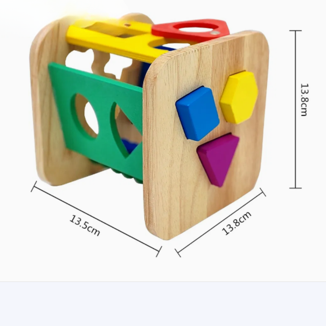 Didáctico de Encaje Montessori (Intellectual Cage)