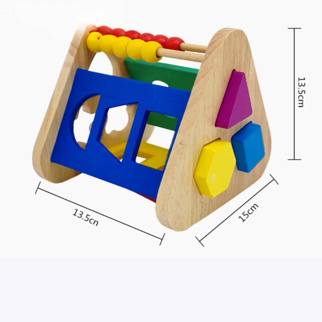 Didáctico de Encaje Montessori (Intellectual Cage)